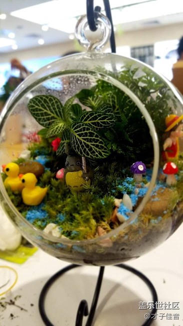 植树节活动回顾