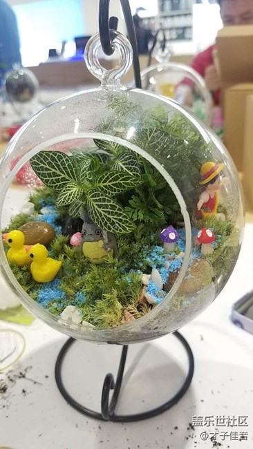 植树节活动回顾