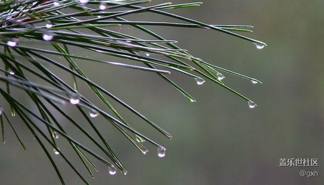 时间煮雨,成全自己! 时间煮雨,成全自己!