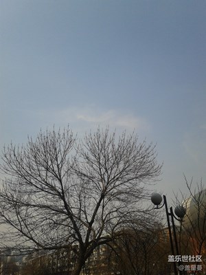风云+天津+春天的风云