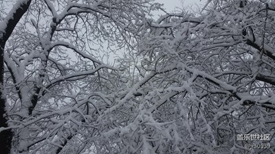 风云+宝鸡+雪舞漫天