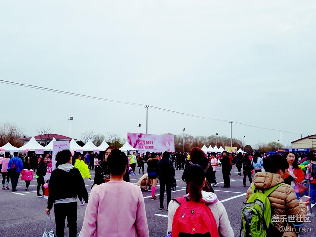 樱花节首届女子十公里路跑