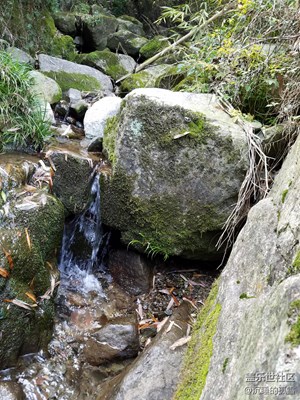 清凌凌的溪水，清澈见底