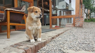 缙云山