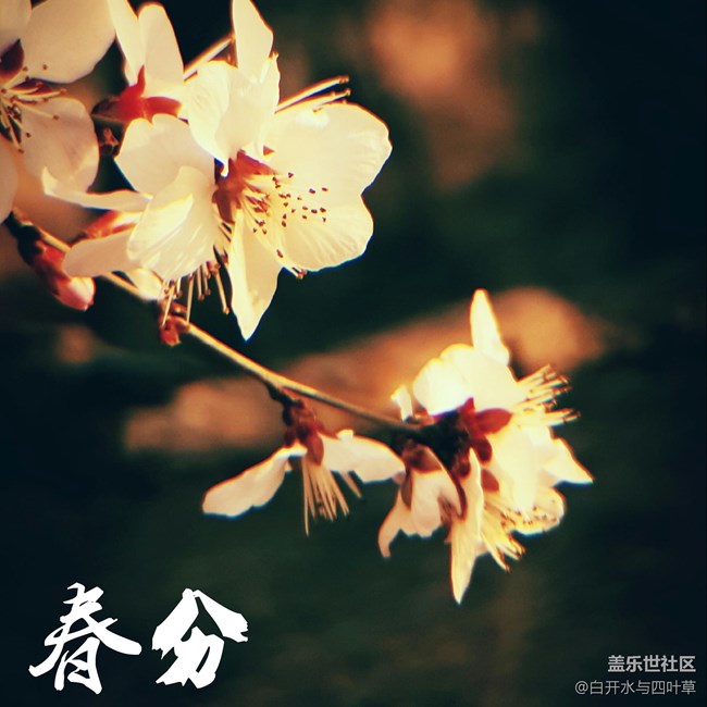 春分
