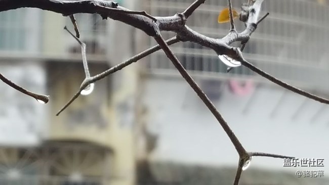 连续的下雨天