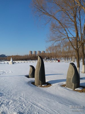 雪海精灵