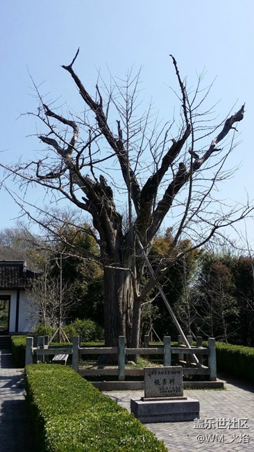 小镇的慵懒下午