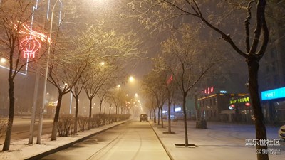 雨雪迎春