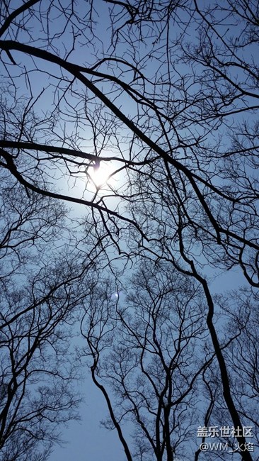 小镇的慵懒下午