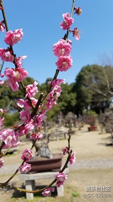 逛公园随手拍