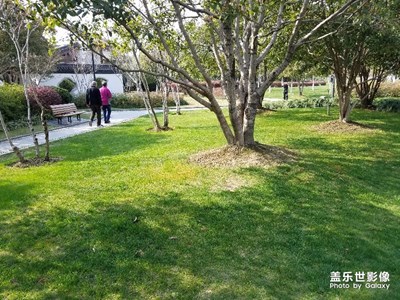 南江公园