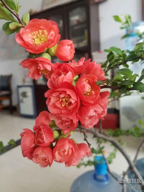 升级7.0后，电池不如原来耐用了