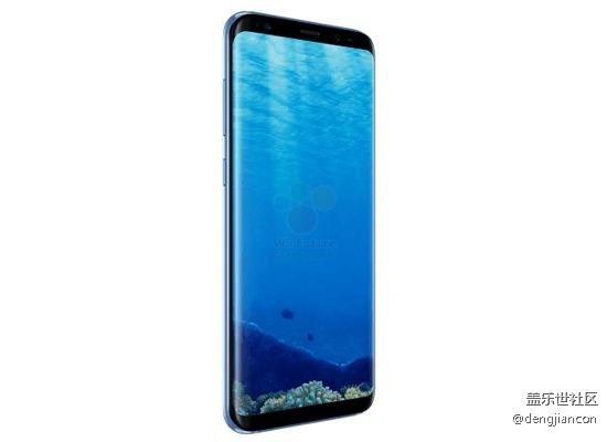 S8的问题关注