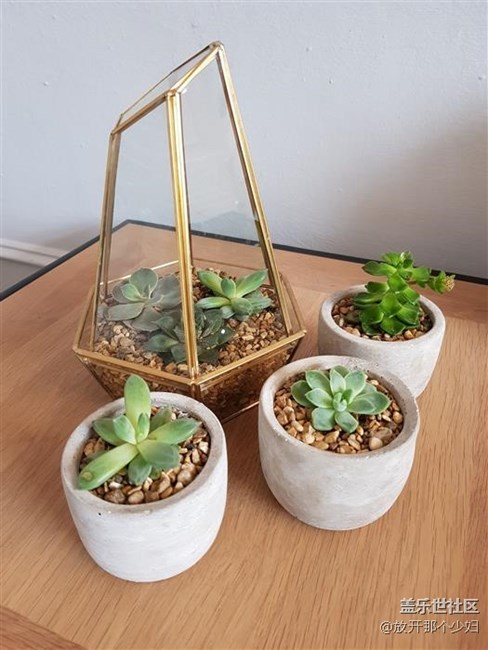 三星S8拍照样张  iPhone 7弱爆了