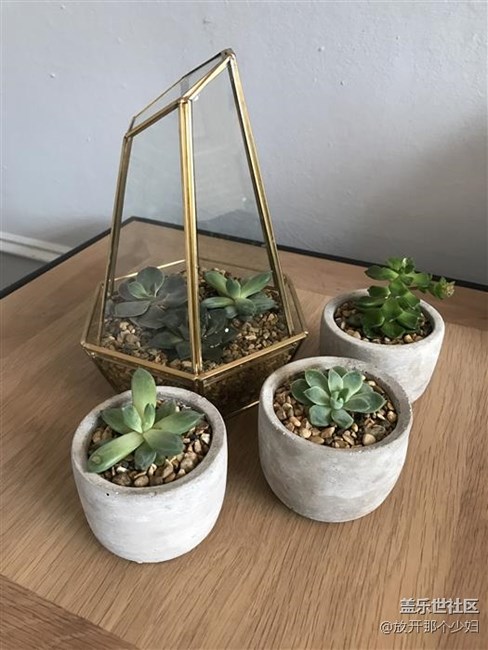 三星S8拍照样张  iPhone 7弱爆了