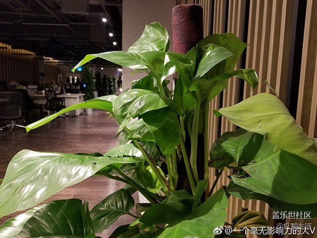 买不买S8 先看看这个你再决定