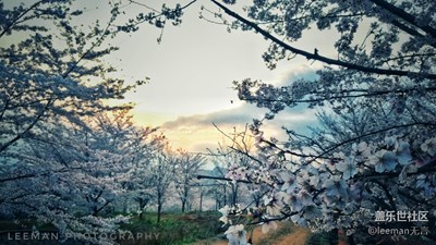 繁花