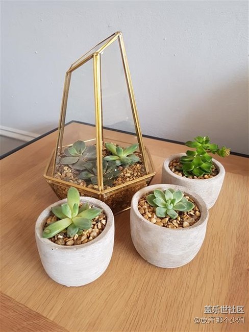 三星S8拍照样张  iPhone 7弱爆了