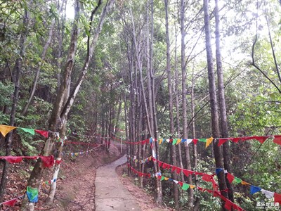 路+全南+一路风景