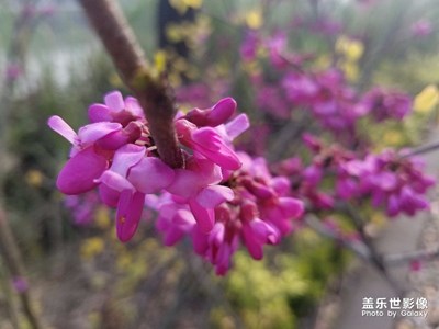春暖花开