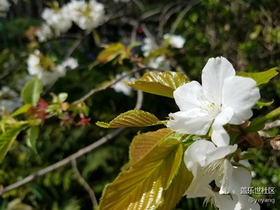 春暖花开