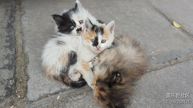 求一个完整版s8息屏，带小组件的