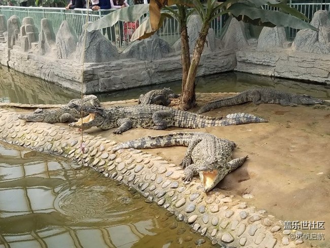 看看s7e的拍照