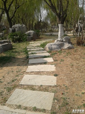 路+天津+西沽公园