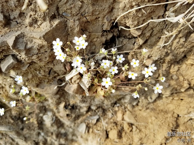 精雕细琢 圆润如玉 短暂的邂逅三星S8使用三日有感