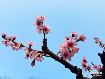桃花源