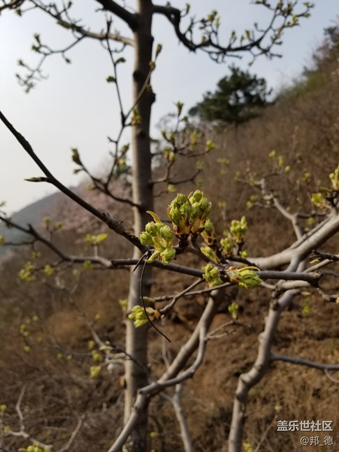 精雕细琢 圆润如玉 短暂的邂逅三星S8使用三日有感