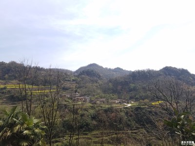 阳光普照