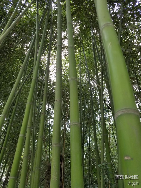 踏青