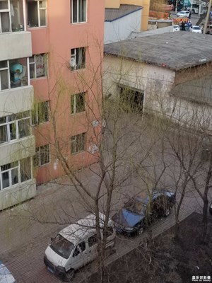 树