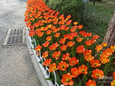 满园春色