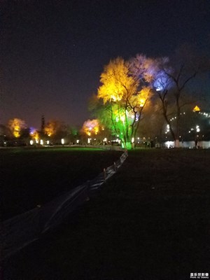 夜晚