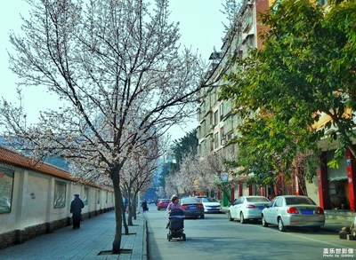 我眼中的世界+绵阳市+生活之路