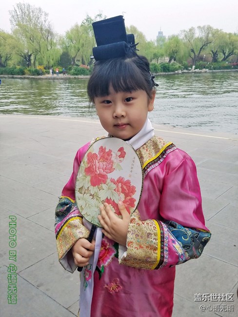 清明时节，去大明湖畔邂逅夏雨荷