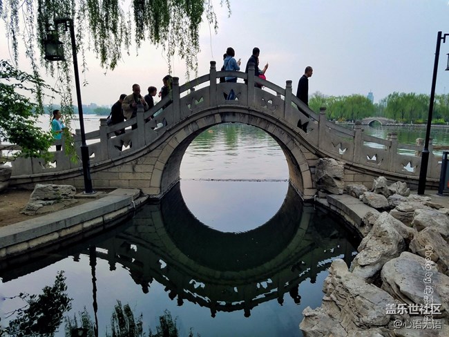 清明时节，去大明湖畔邂逅夏雨荷