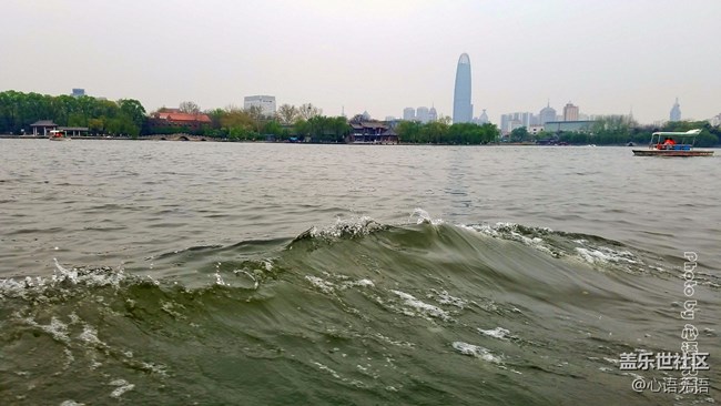 清明时节，去大明湖畔邂逅夏雨荷