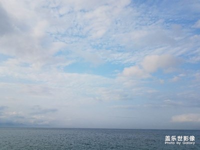 杨梅坑