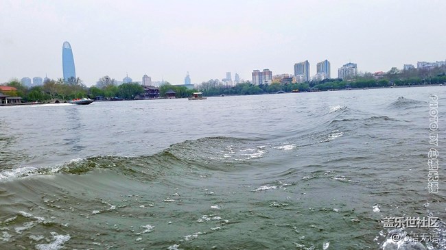 清明时节，去大明湖畔邂逅夏雨荷