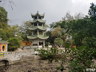 游园花絮十广东十安铺中山公园