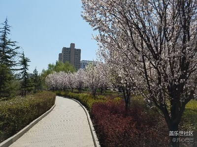 春来，花开