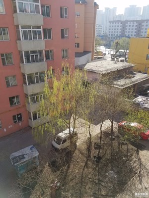 树
