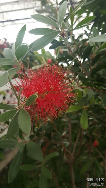 评测：摄像模式区别很大。