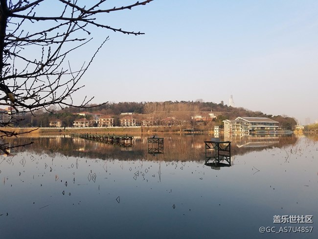 南京玄武湖早晨随拍(还有这么个地方,下次来多学习)