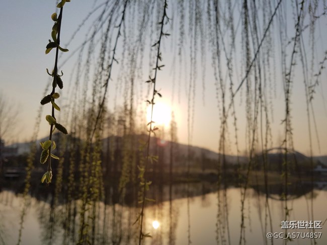 南京玄武湖早晨随拍(还有这么个地方,下次来多学习)