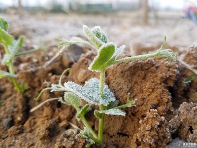 去年12月上班路上几张随拍